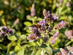Fotowalk Pfarrwerfen - Bahnhof Werfen